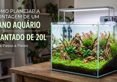Guia Passo a Passo: Como Planejar a Montagem de um Nano Aquário Plantado de 20 Litros